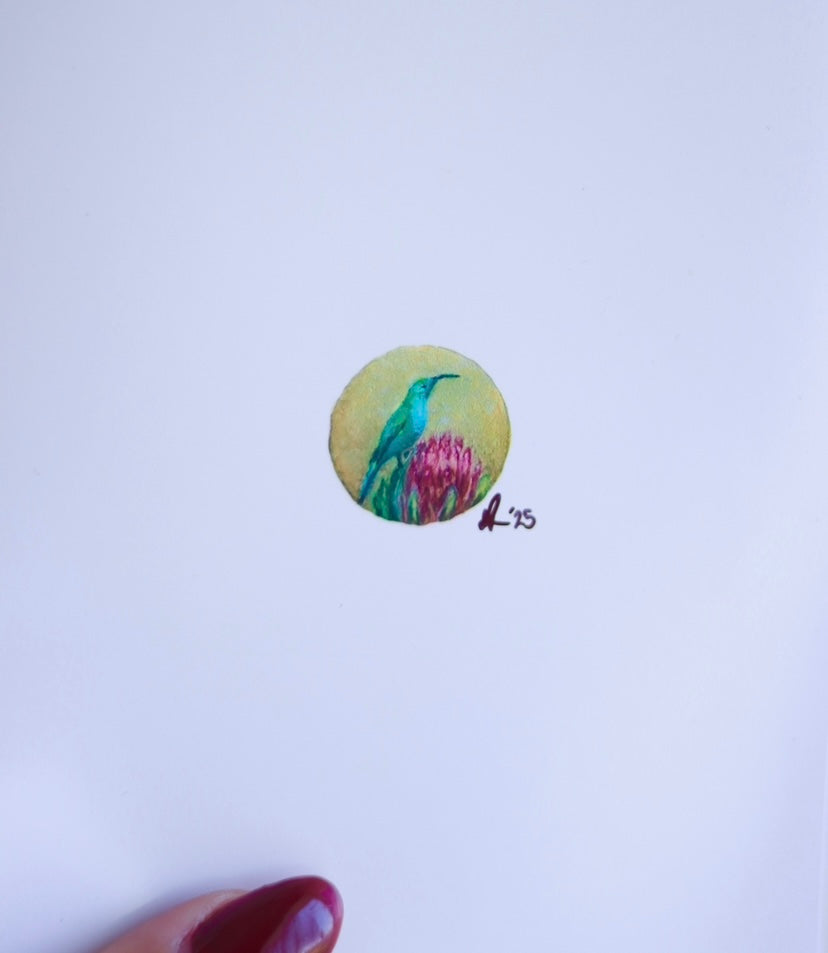 ‘Suikerbekkie’ Art Print