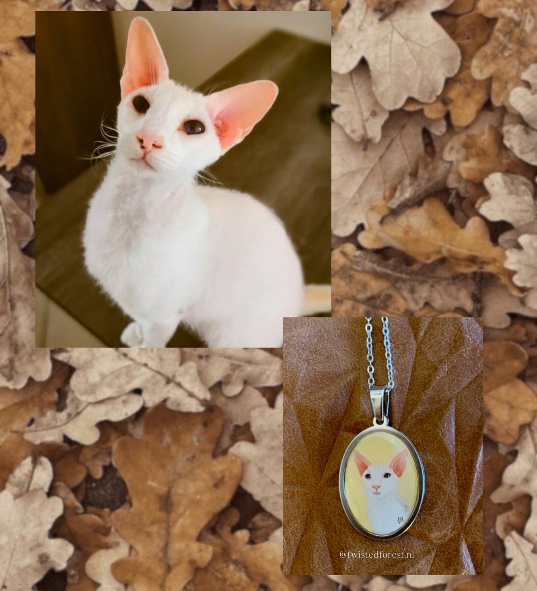 Pet Portrait Commissions