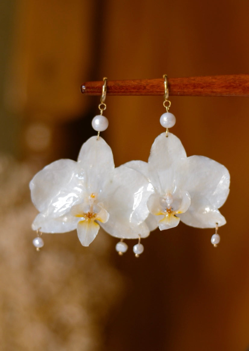 Ear Adornments