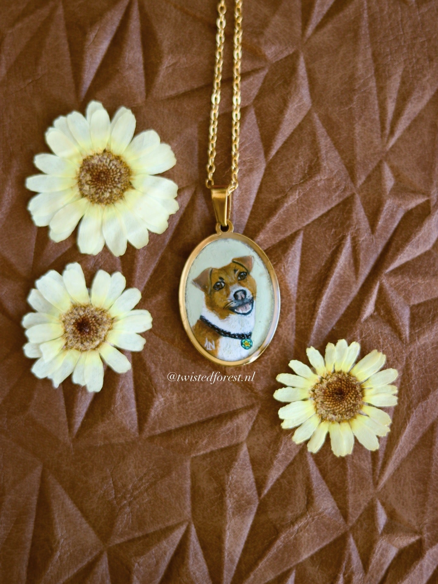 Pet Portrait Commissions