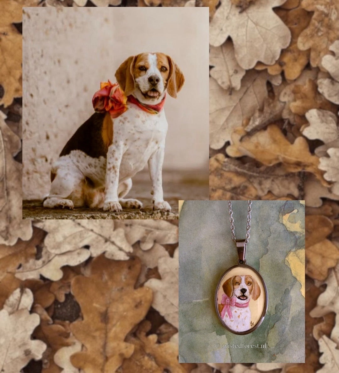 Pet Portrait Commissions