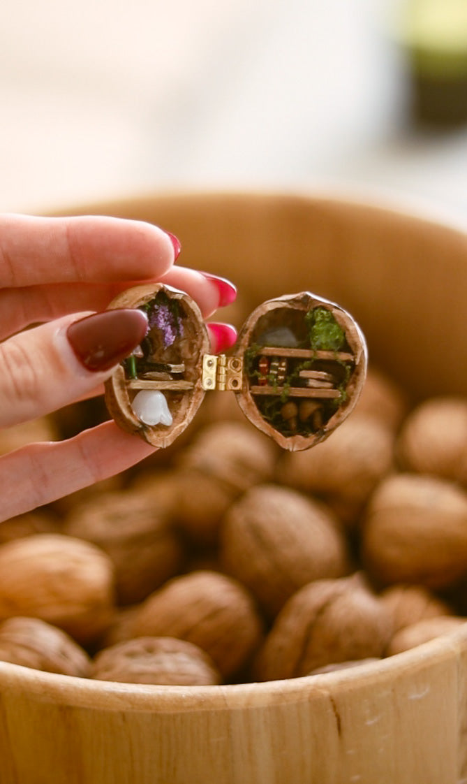 Walnut World: Fairy Library DIY Kit