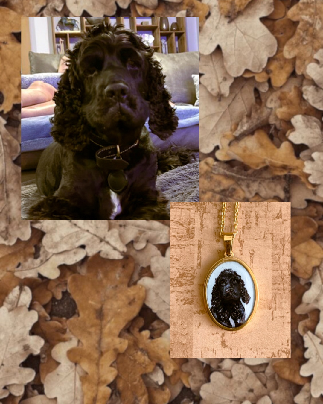 Pet Portrait Commissions