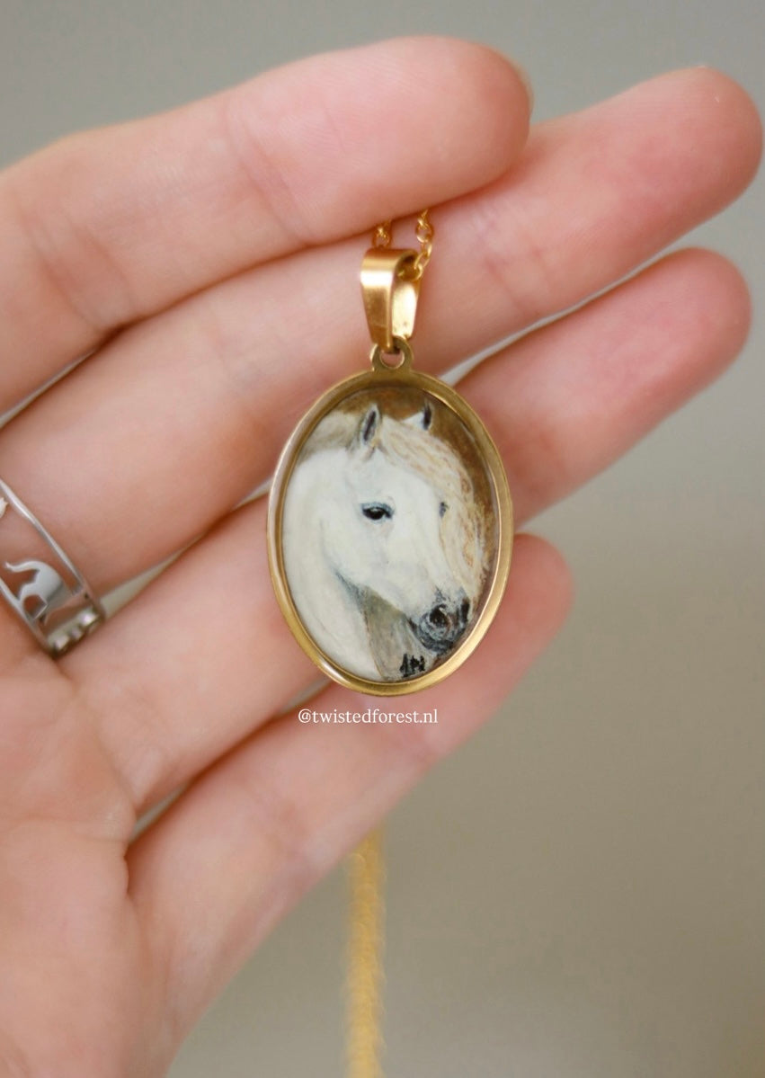 Pet Portrait Commissions