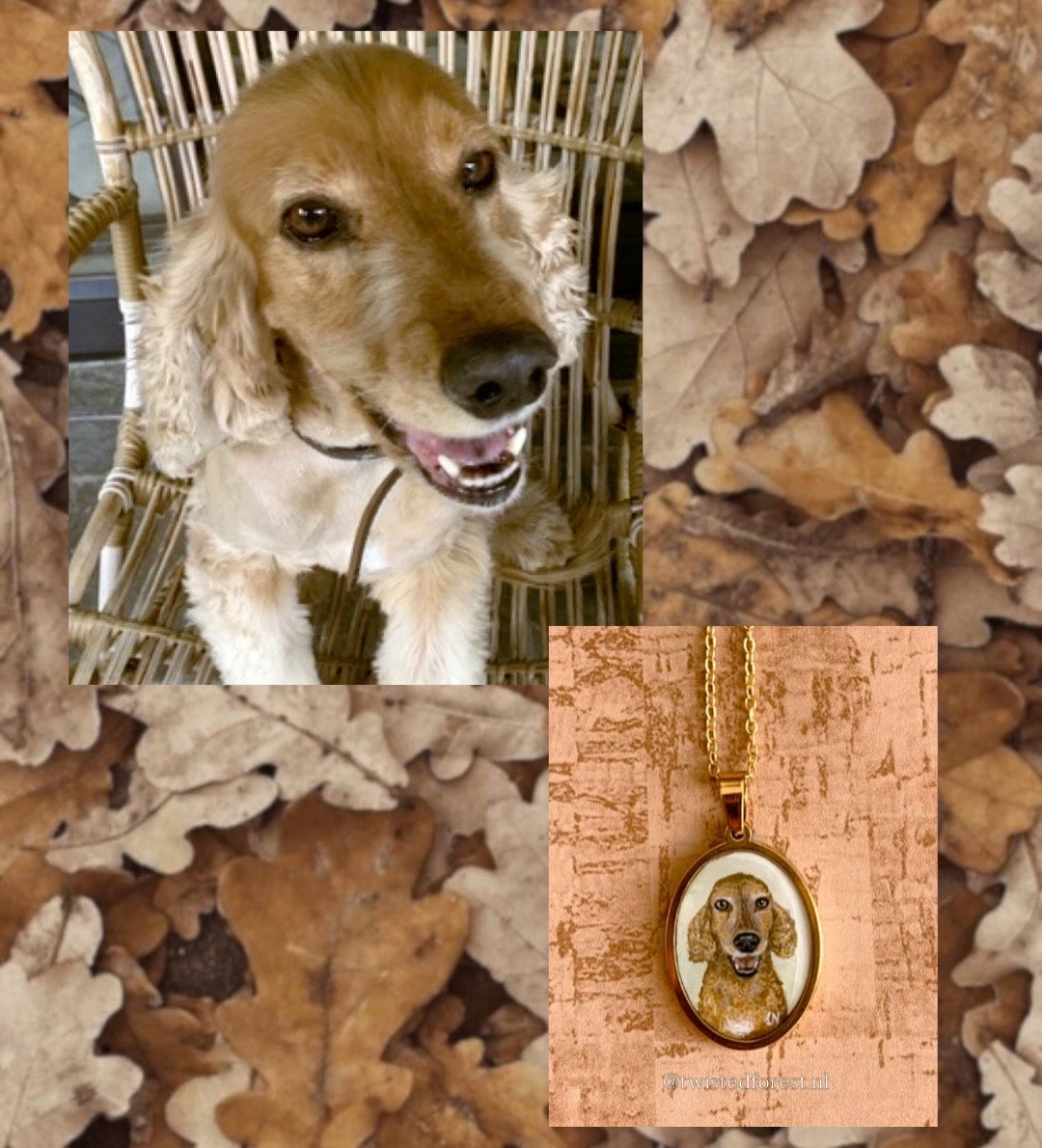 Pet Portrait Commissions