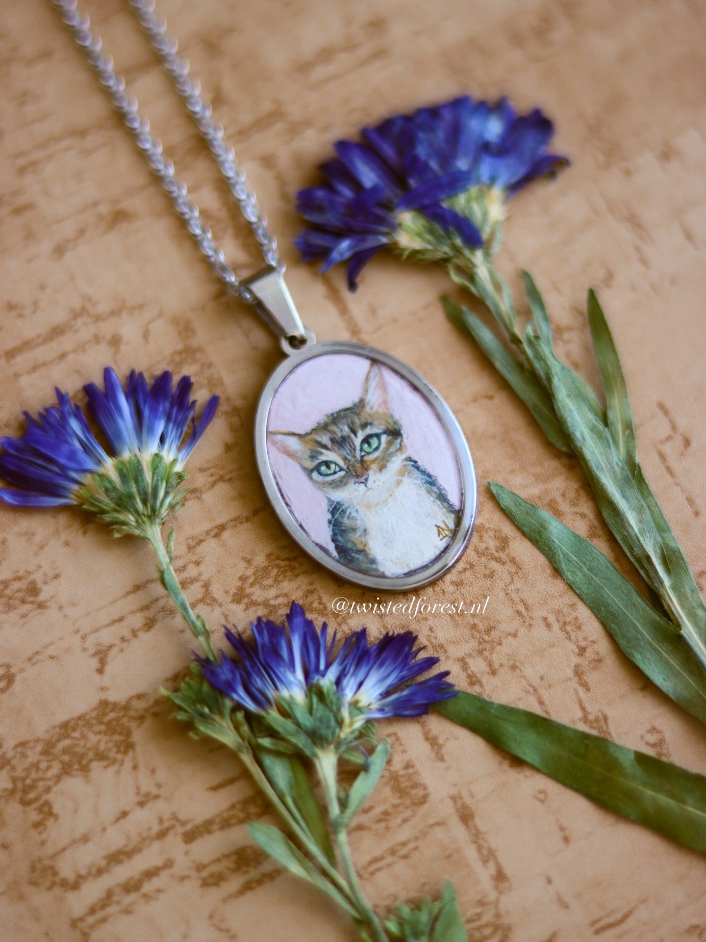 Pet Portrait Commissions