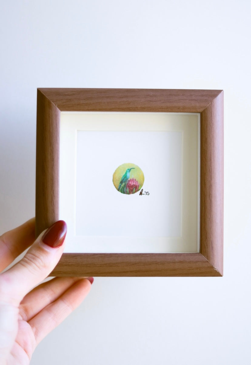 ‘Suikerbekkie’ Art Print