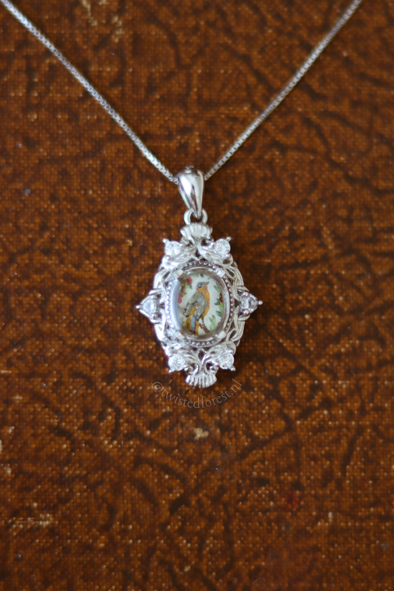 Cape Robin-Chat Mini Painting Necklace