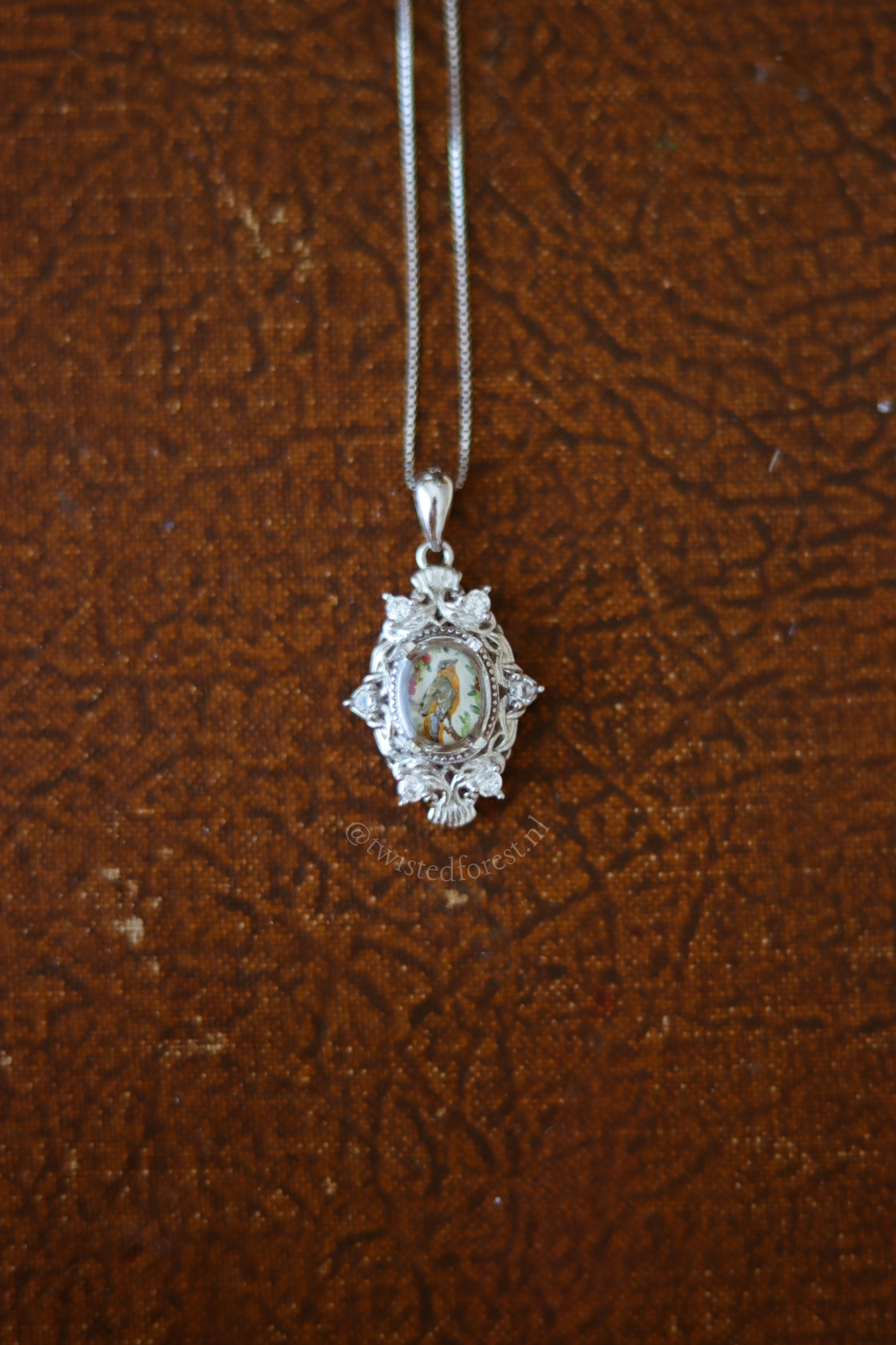 Cape Robin-Chat Mini Painting Necklace