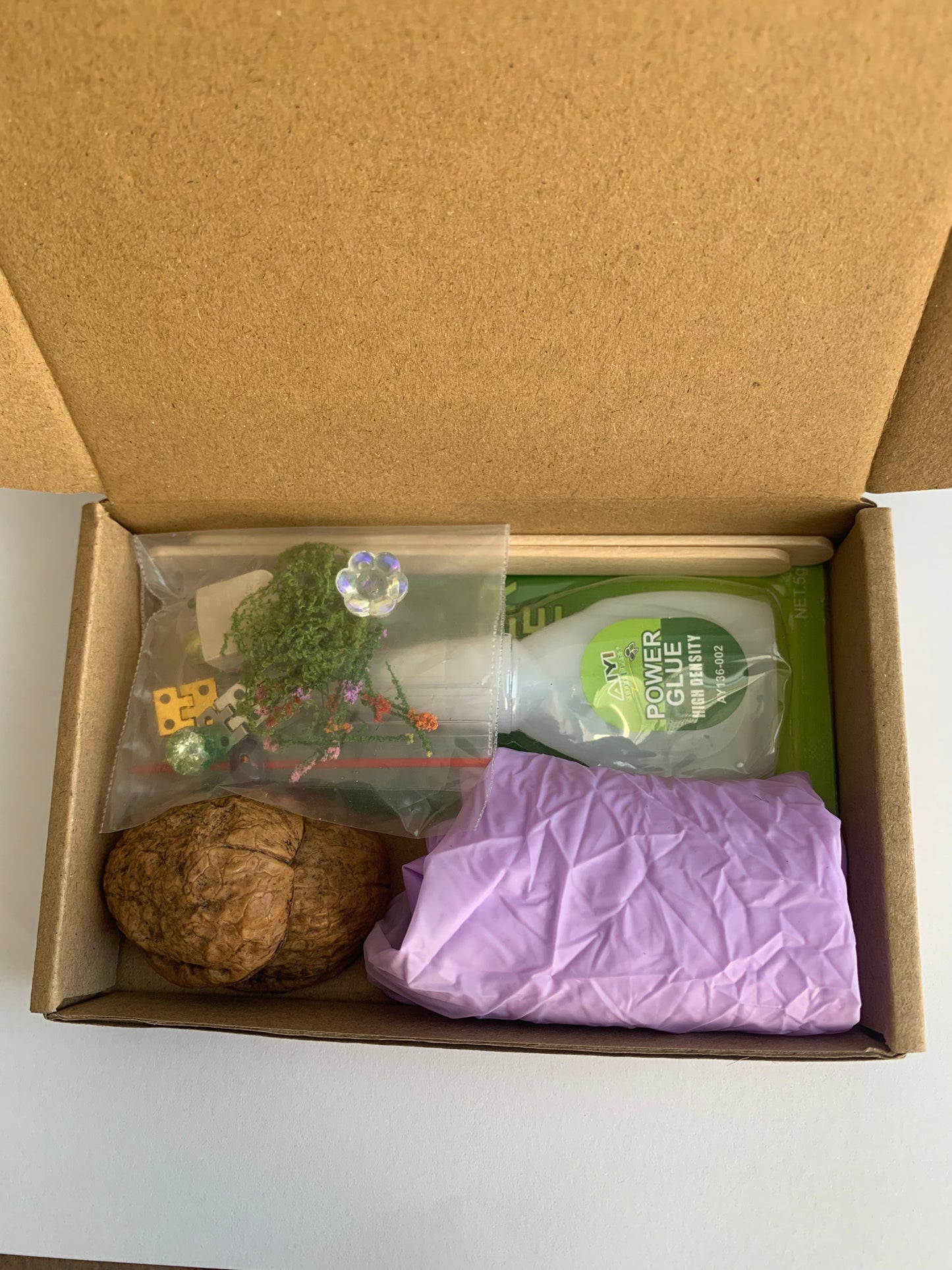 Walnut World: Fairy Library DIY Kit